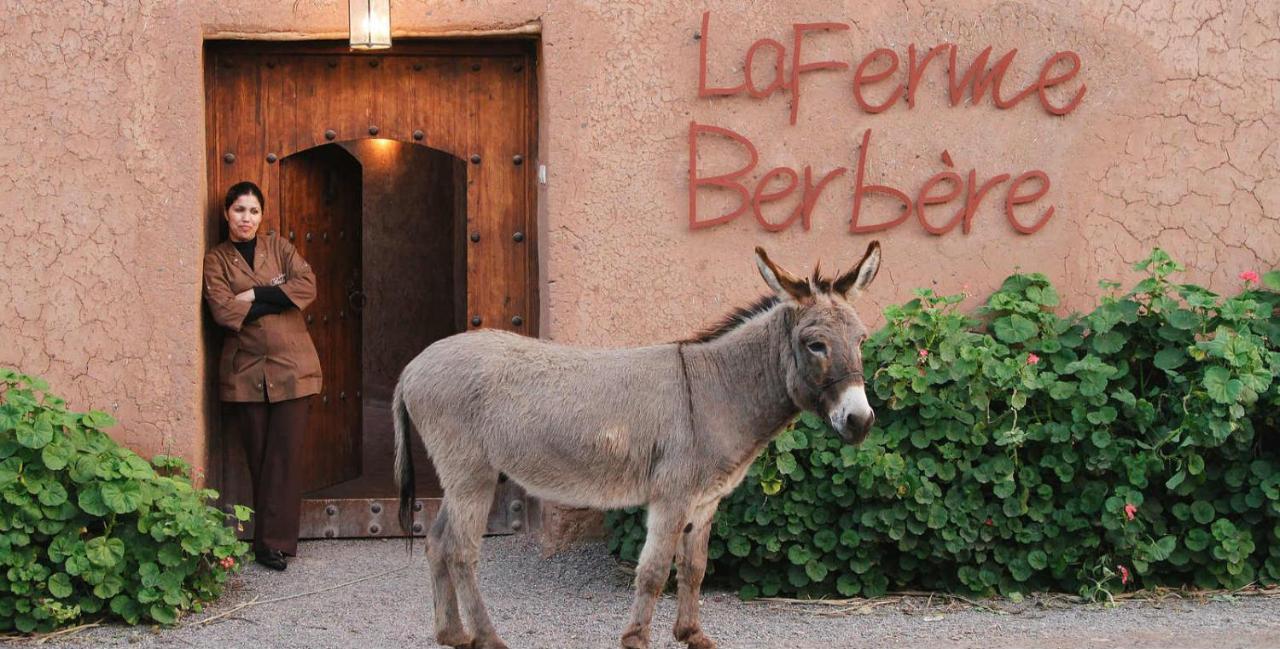 La Ferme Berbere Bed & Breakfast El Harkat Bagian luar foto