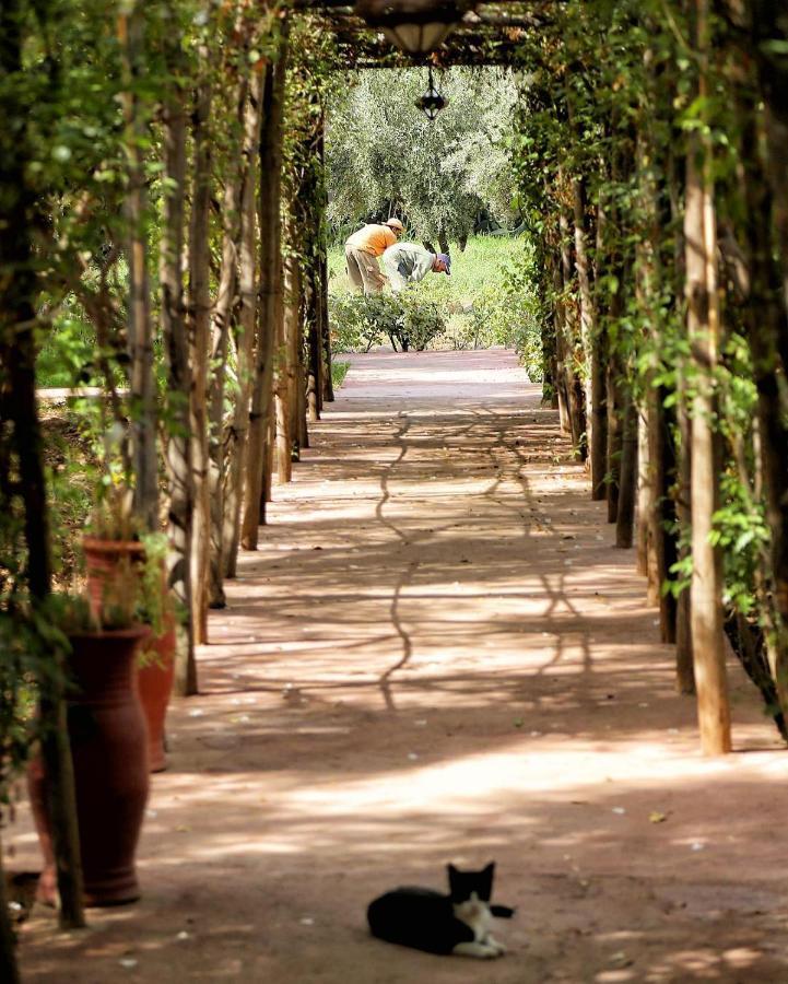 La Ferme Berbere Bed & Breakfast El Harkat Bagian luar foto