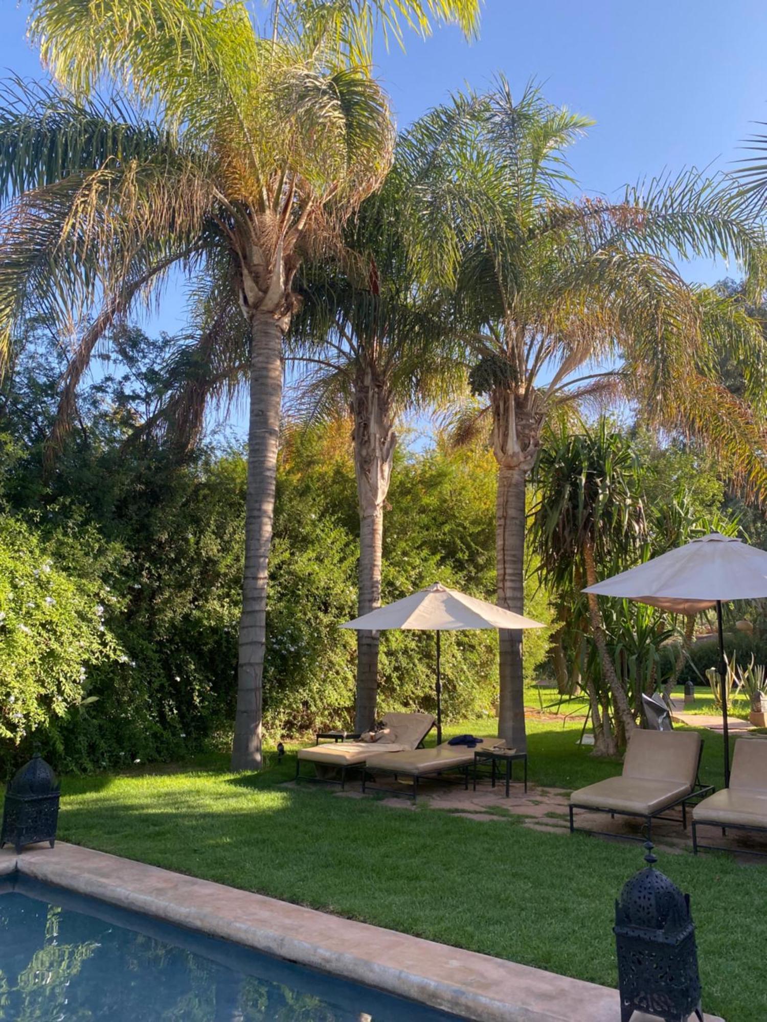 La Ferme Berbere Bed & Breakfast El Harkat Bagian luar foto